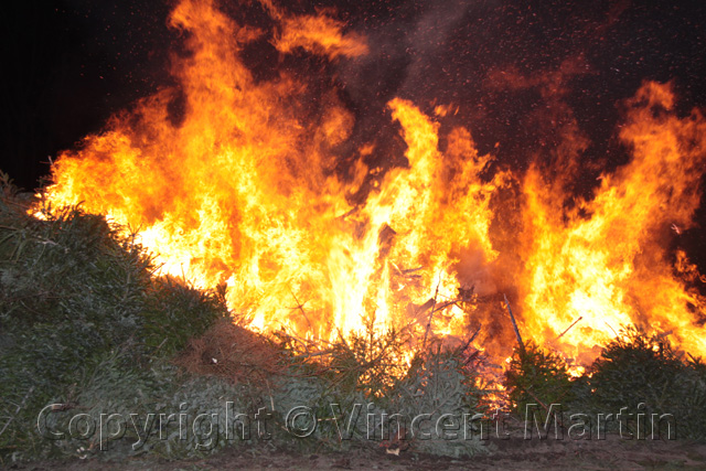 Kerstboomverbranding